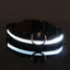 LED Safety Collar For Small And Medium Dogs - Adjustable, Flashing Glow For Night Walking