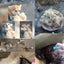 Dog Cat Hair Removal Comb Pet Long Hair Short Hair Pet Grooming Care Brush Trimming Dematting Brush Dog Pet Grooming Equipment