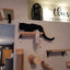 Cat Wall Mounted Shelf Furniture Wooden Cat Bed and Scratcher Post with Climbing Ladder Widen Steps for Kitten Play and Rest