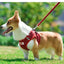 Dog Harness Dog Traction Rope Corduroy Breathable Dog Chest Strap Reflective Pet Chest Strap Walking Rope Set