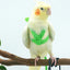 Pet Parrot Harness Adjustable Elastic Nylon Traction Rope Parrot Bird Flying Training Harness Leash Set for Small Medium Parrot