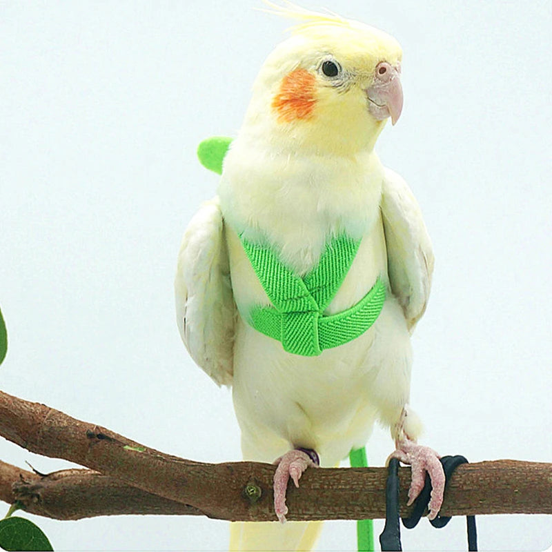 Pet Parrot Harness Adjustable Elastic Nylon Traction Rope Parrot Bird Flying Training Harness Leash Set for Small Medium Parrot