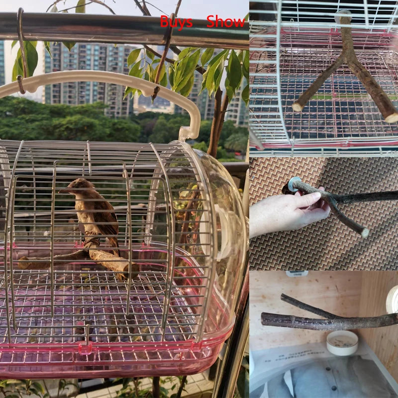 Natural Wood Pet Parrot Raw Wood Fork Tree Branch Stand Rack Squirrel Bird Hamster Branch Perches Chew Bite Toys Stick Supplies