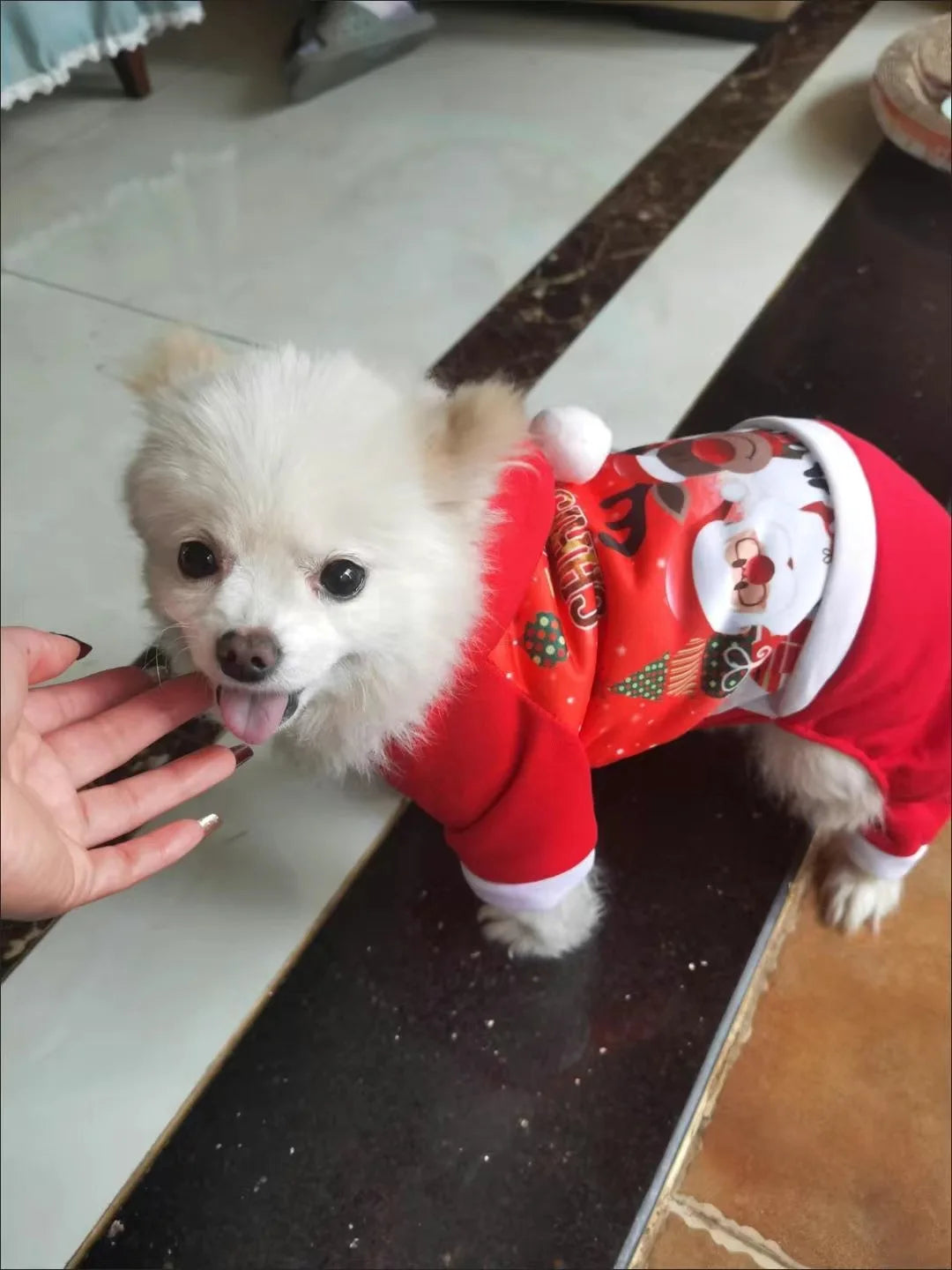 Christmas Dog Coat Sweater Chihuahua Pet Clothes New Year Pets Dogs Clothing For Small Medium Dogs Costume Warm Dog Hoodies