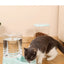 Cat Pet Automatic Feeder Drinking Bowl Large Capacity Dog 3.8L Combination Grain Storage Bucket Supplier