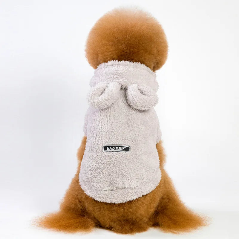 Clothes For Cat Sphinx Jacket Cat Clothes Egyptian Kitten Clothing Dog Hoodie Yorkshire Sweater Puppy Pet Chihuahua Hairless Xs