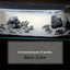 1pcs Natural Aquarium Decor Lava Stone Rockery Landscaping Fish Tank Microporous Volcanic Stone Porous Good for Plants Growth