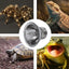 Reptile Heating Bulb 220V Habitat Light Lamp Basking Heat Lamp For Reptiles Turtle Heat Lamp Bulb For Bearded Dragon Reptile