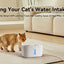 Cat Water Fountain with APP Wireless Connected 84oz/2.5L Automatic Pet Water Fountain with Stainless Steel Tray Weight Sensor