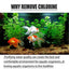 Fish Tank Cleaner Water Purifier And Algae Remover Water Purifier For Freshwater Aquariums Algae Remover For Freshwater