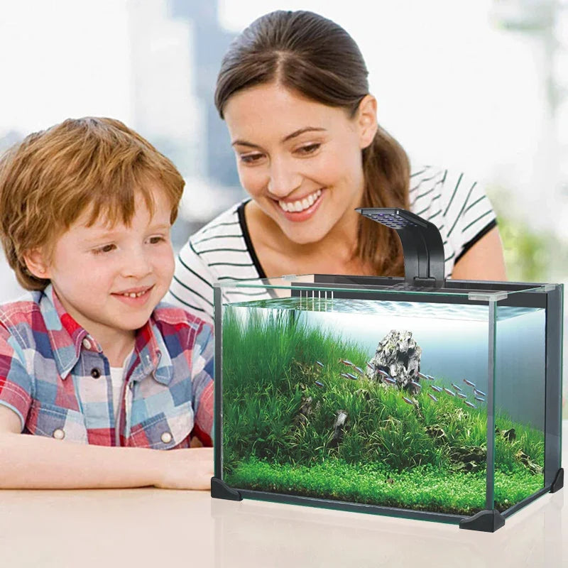 Heto CC-27L Fish Fish Raising Glass Aquarium