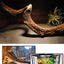 Climbing Pet Climbing Wooden Landscape Tree Vine Natural Dead Wood Crawler Rainforest Tank Tree Frog Crossing River Dragon Vine