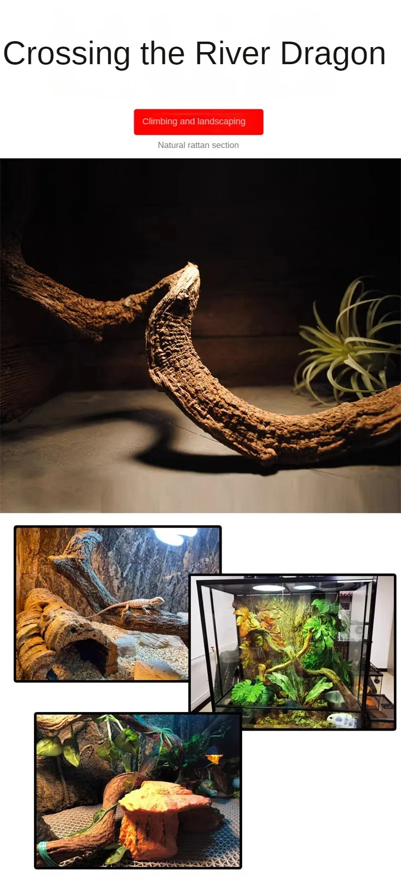 Climbing Pet Climbing Wooden Landscape Tree Vine Natural Dead Wood Crawler Rainforest Tank Tree Frog Crossing River Dragon Vine