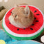 Cat Recovery Collar Protective Cute Collar After Surgeries Soft Adjustable Elizabethan Collars For Kitten Small Dogs