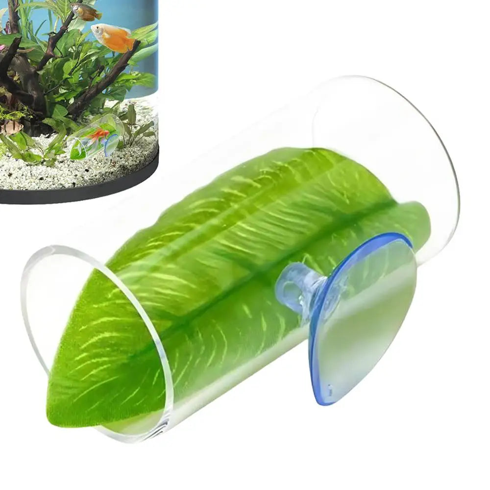 Betta Acrylic Tube Betta Fish Resting Tube Safe Enrichment Acrylic Tube Multifunctional Betta Tunnel Swim Tube Smooth
