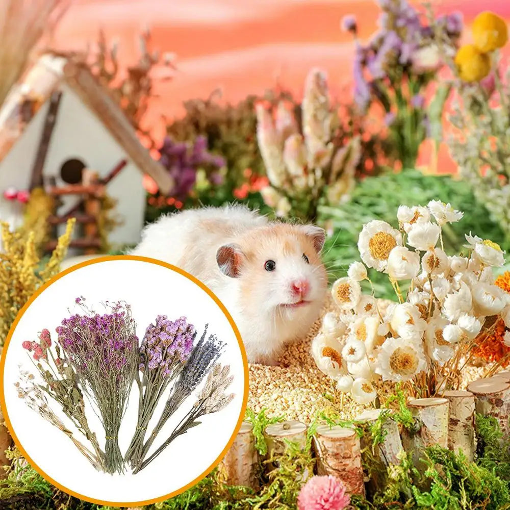 Flower And Plant Bedding Natural Hamster Bedding Hamster Deodorizing Bedding Small Animal Deodorant Product Landscaping Supplies