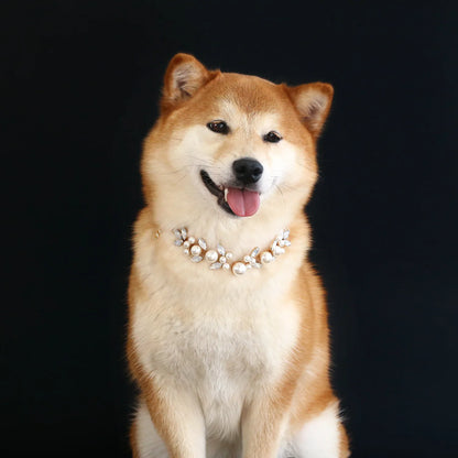 Luxury Dog Accessories for Small Medium Dogs Puppy, Blingbling Diamond Pearl Dog Cat Neckalce Adjustable Crystal Jewelry Collar