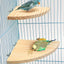 Fan-shaped Bird Parrot Wooden Stand Rack Bird Cage Accessories Perch for Small Animal Chinchilla Squirrel Hamster Stand Board