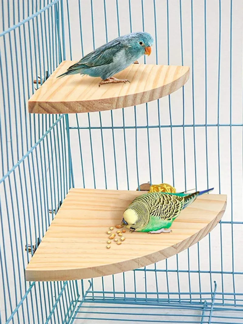Fan-shaped Bird Parrot Wooden Stand Rack Bird Cage Accessories Perch for Small Animal Chinchilla Squirrel Hamster Stand Board