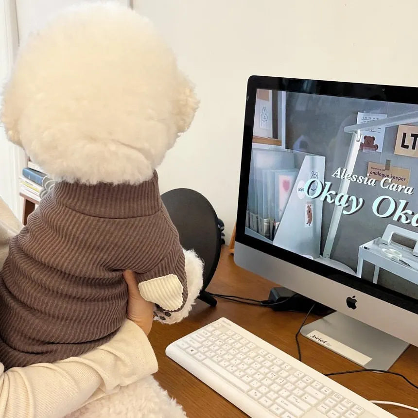 Fashion Pet Dog Bottoming Shirt Puppy Solid Color Clothes Winter Teddy Warm Two Legged Clothing Pet Poodle Pullover Dog Jackets