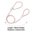 Dog Leashes Nylon Pet Leashes Heavy Duty Rope Leashes Mountain Climbing Rope Dog Leashes For Any Pets Playing Camping Beach Lake