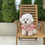 Puppy 2024 Clothes Cotton Girl Dog Undershirt Summer Dog Cooling Vest Dog Strawberry Shirt Chihuahua Bichon Apparel Dog Clothing