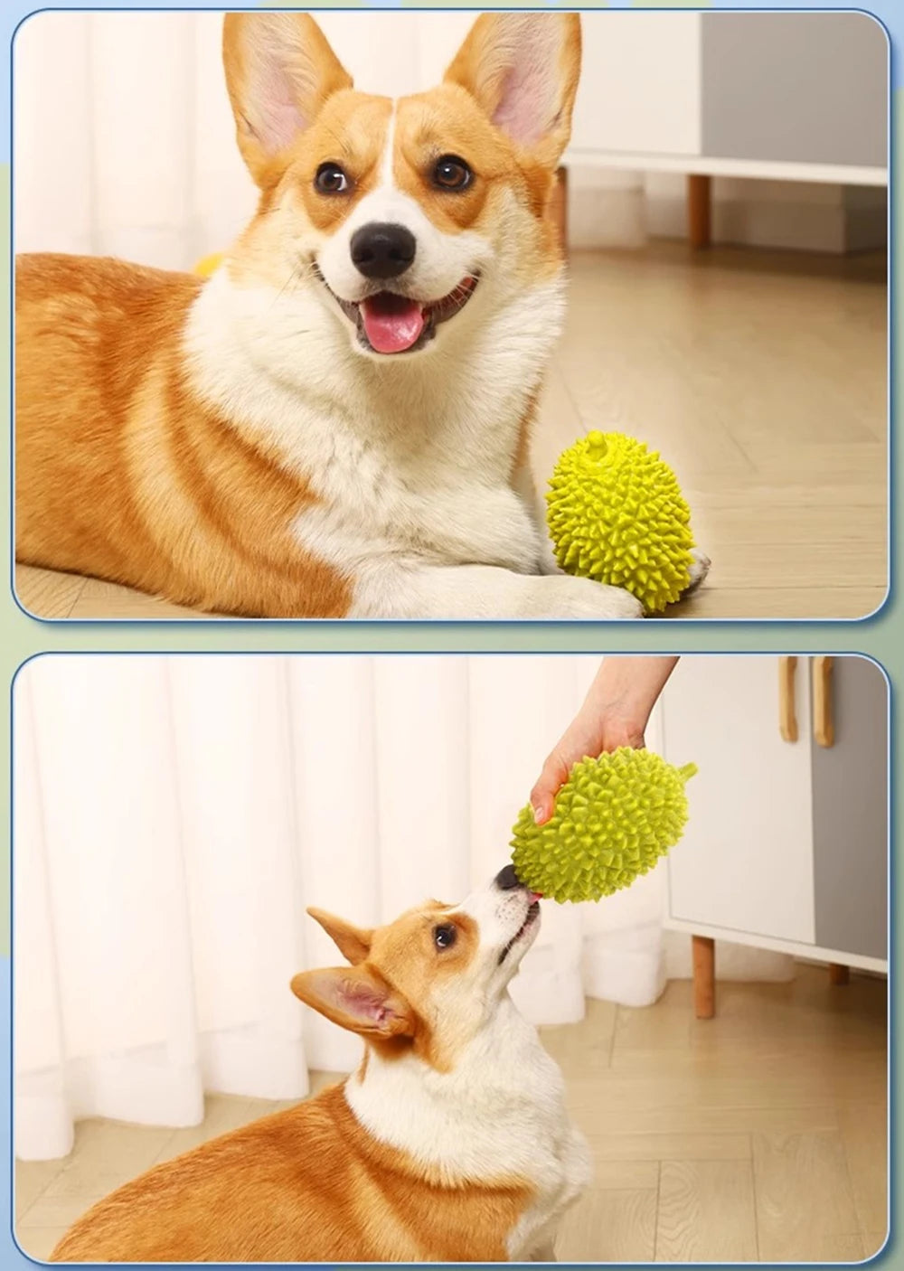 Safety TPR Squeaky Dog Toys Bite Resistant Pet Chew Toy for Puppy Medium Large Dogs French Bulldog mascotas Interactive Products