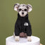 Winter Dog Clothes Dog Down Jacket Waterproof Cat Costume Pet Dog Coat Chihuahua French Bulldog Bichon Large Dog Warm Clothes