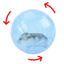 Hamster Exercise Balls With Traction Rope Transparent Hamster Running Ball Wheel Safe Hamster Exercise Balls Pet Supplies