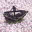 1Pcs Aquarium Decoration Wreck Ship Ornament Sailing Boat Fish Tank Cave Decor Resin Ornaments Landscaping Decor Akvaryum Dekor