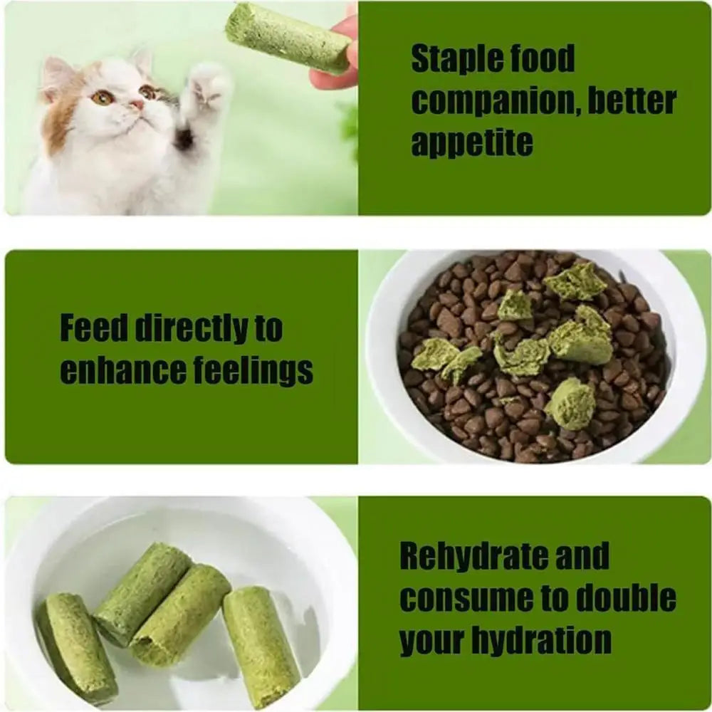 Cat Grass Stick Cat Grass Chewing Stick Natural Teeth Cleaner Removal Row Kitten Pet Snacks Teeth Caring for Kitten Mouth Health