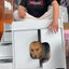 Kennel Four Seasons Universal Wooden Dog House  Dog Villa Internet celebrity Pet House Cat Dog Universal Wooden House