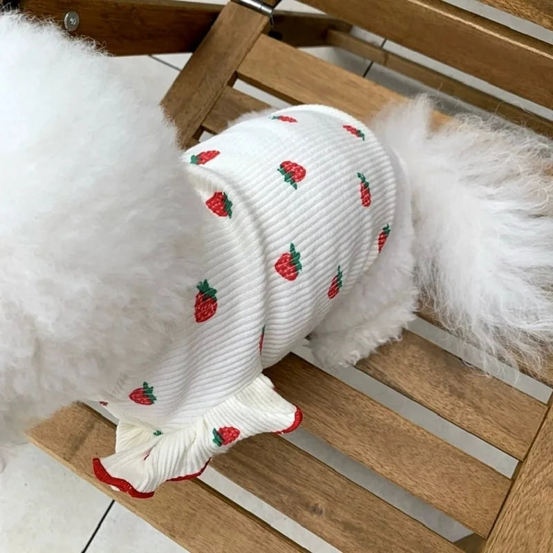 Puppy 2024 Clothes Cotton Girl Dog Undershirt Summer Dog Cooling Vest Dog Strawberry Shirt Chihuahua Bichon Apparel Dog Clothing