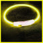 40/50/70cm Led Dog Collar USB Rechargeable Pet Dog Night Luminous Charge Collar Glowing Necklace Collar Safety Night Light
