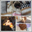 New Pet Toy Striped Elephant, Yellow Duck, Pink Pig Biting Pet Toy Simulated Pet Sound Dog Toy