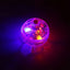 Cat Transparent Glowing Ball Toy Flashing Interactive LED Touch Activated Glowing Ball Suitable Kitten Puppy Running Exercise