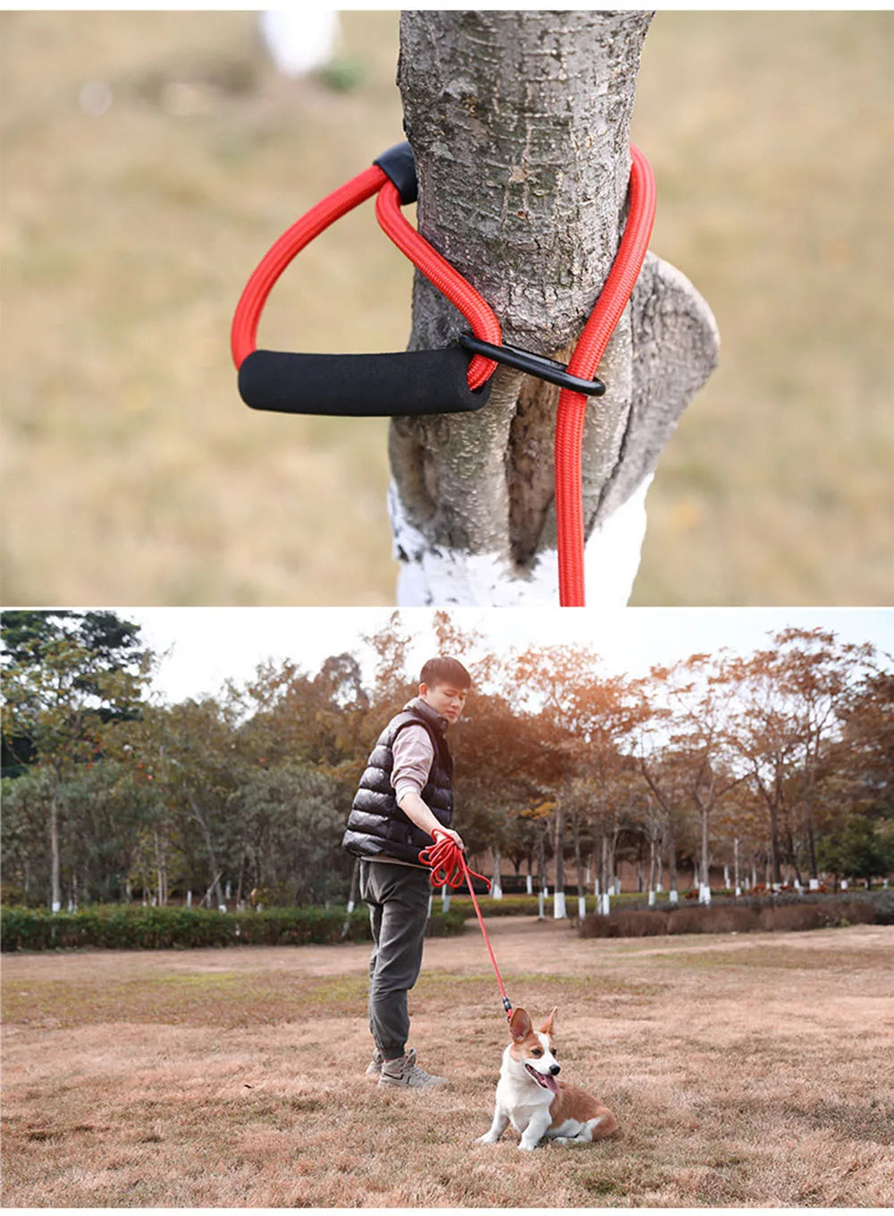 Dog Check Cord 5M 10M Leash Floatable Extra Long Pet Dog Training Rope with Soft Handle for Camping Playing Backyard Beach Lake