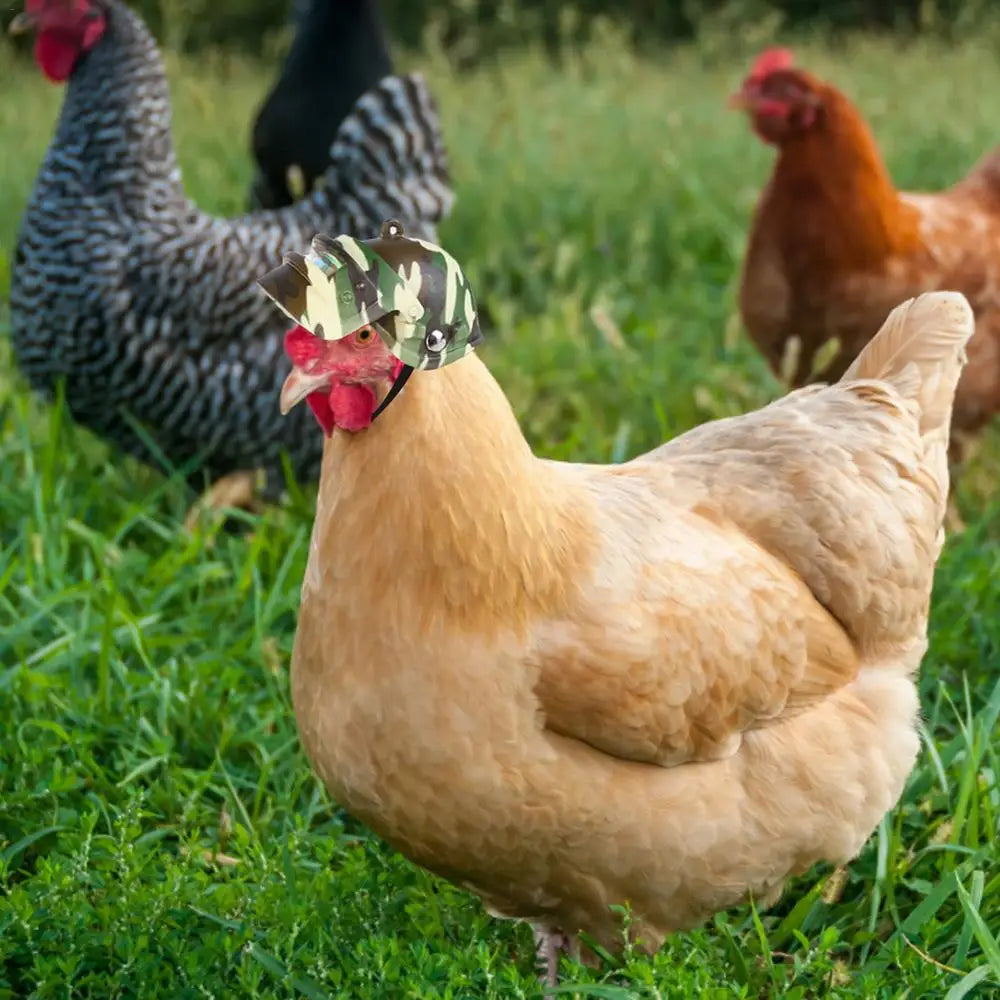 Chicken Helmet Small Pet Hard Hat Funny Chicken Helmet Hen Hard Bird Hat Headgear Protective Pet Helmet Safe Supplies