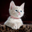 Suede Leather Cat Collar Bling Rhinestone Cats Collars with Bell Safety Breakaway Pet Puppy Necklace Adjustable XS S Pink Soft