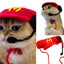 Funny Pet Hat Knitted Cat Waiter Beanie Hat Cartoon Pet Cosplay Caps for Puppy Kitten Weaving Puppy Costume Headwear Decoration