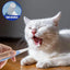 Pet Toothbrush Kitten Tooth Brushes Small Cats Safe Dog Oral Care Odorless Cat Tooth Care Brush With Anti-Slip Handle Pet Teeth
