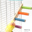 Escalera interactiva para escalada de aves, juguete para mascotas, garras y dientes, accesorios para pájaros, 4/6/8 escalones