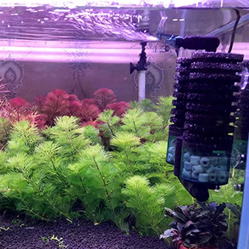 Aquarium USB Filter With Water Pump Electric For Fish Tank Air Pump Skimmer Biochemical Sponge Aquarium Bio Filter USB Connector