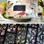 3pcs Kawaii Feather Dragonfly Bird Jellyfish Decorative Stickers Pack Scrapbooking Material Label Diary Phone Journal Planner