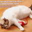 Automatic Interactive Cat Toy Electric Cat Toy Ball Cat Puzzle Toy Cat Balls For Interaction Small Big Cat Puzzle Toy