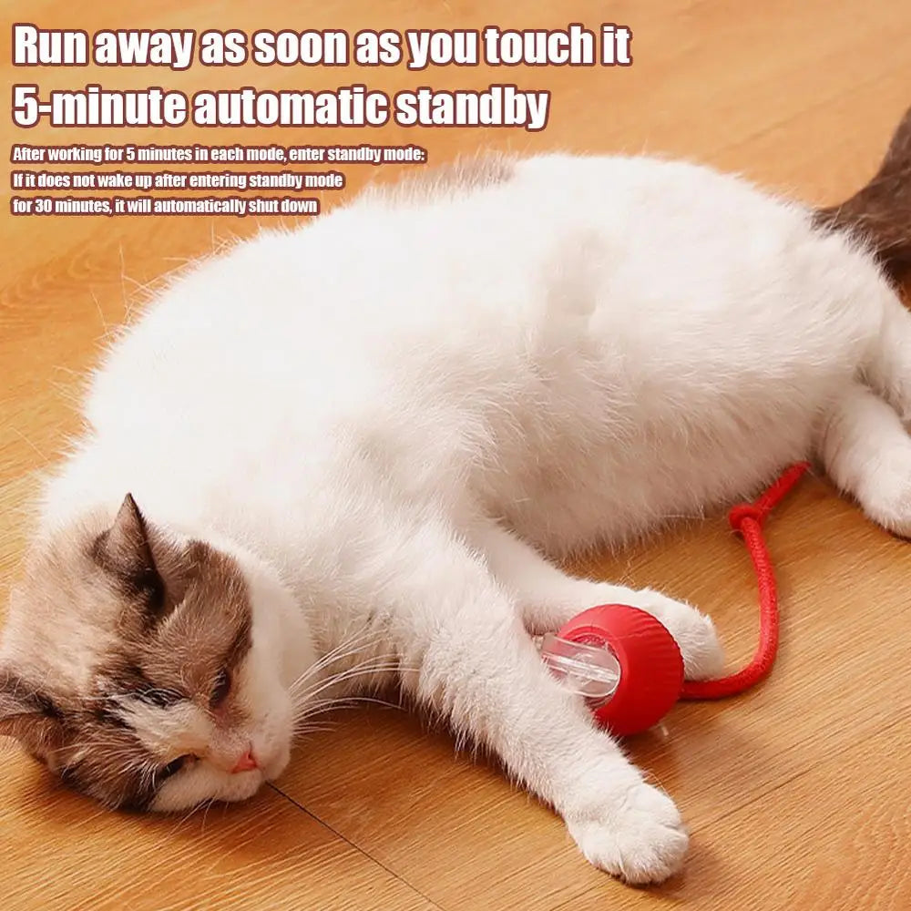 Automatic Interactive Cat Toy Electric Cat Toy Ball Cat Puzzle Toy Cat Balls For Interaction Small Big Cat Puzzle Toy