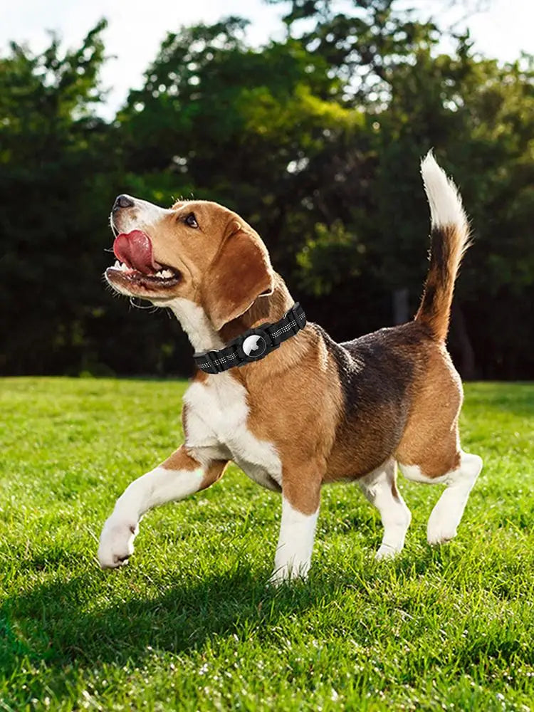 Dog Collar Waterproof Positioning Dog Collar Adjustable Pet Collar Reflective Dog Neck Wearing Puppy Kitten Nest For Pets