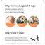 Dog Slip Lead Dog Cinch Leash with Padded Handle No-Pull Dog Slip Leash and Collar Heavy Duty & Durable for All Breeds Training