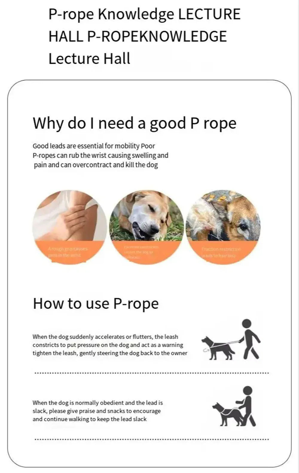 Dog Slip Lead Dog Cinch Leash with Padded Handle No-Pull Dog Slip Leash and Collar Heavy Duty & Durable for All Breeds Training