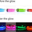 Light Up Dog Collar, Glow LED Dog Collar Flashing Night Walking Collar Waterproof for Small Medium Large Dogs
